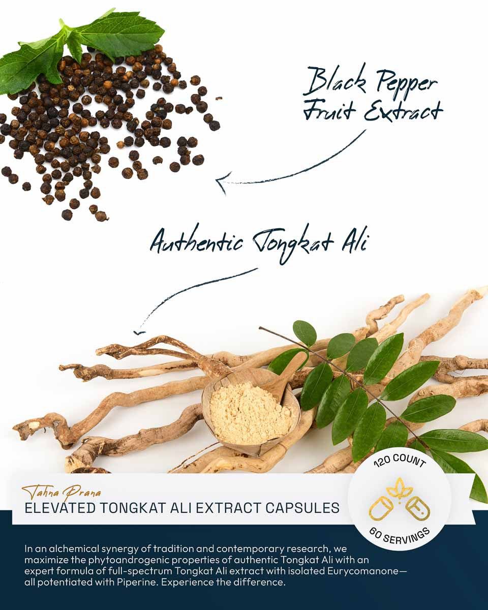 Tahna Prana Elevated Tongkat Ali Extract Capsules » With Eurycomanone » 120 Count Bottle